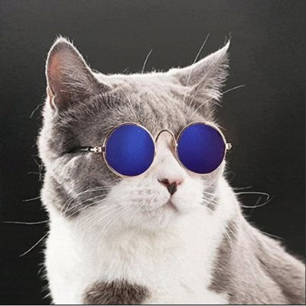 Meowington✡Supreme