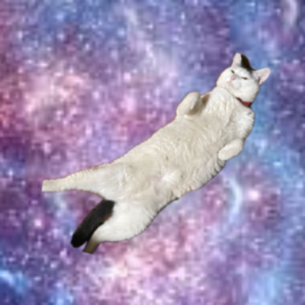 D子