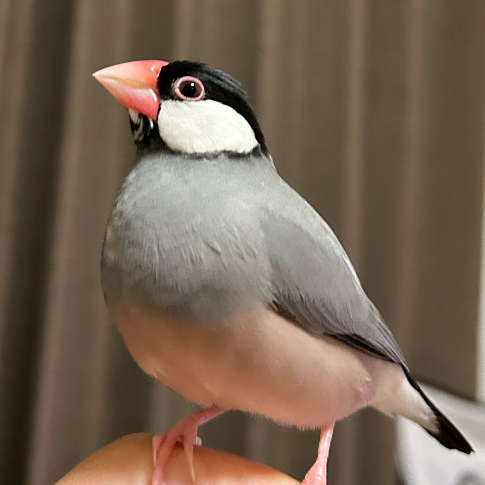 かめち