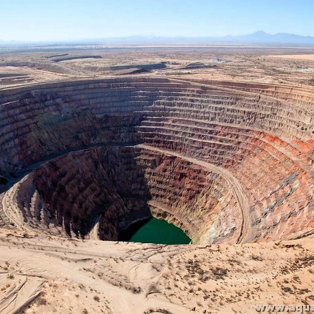 Mine the Market