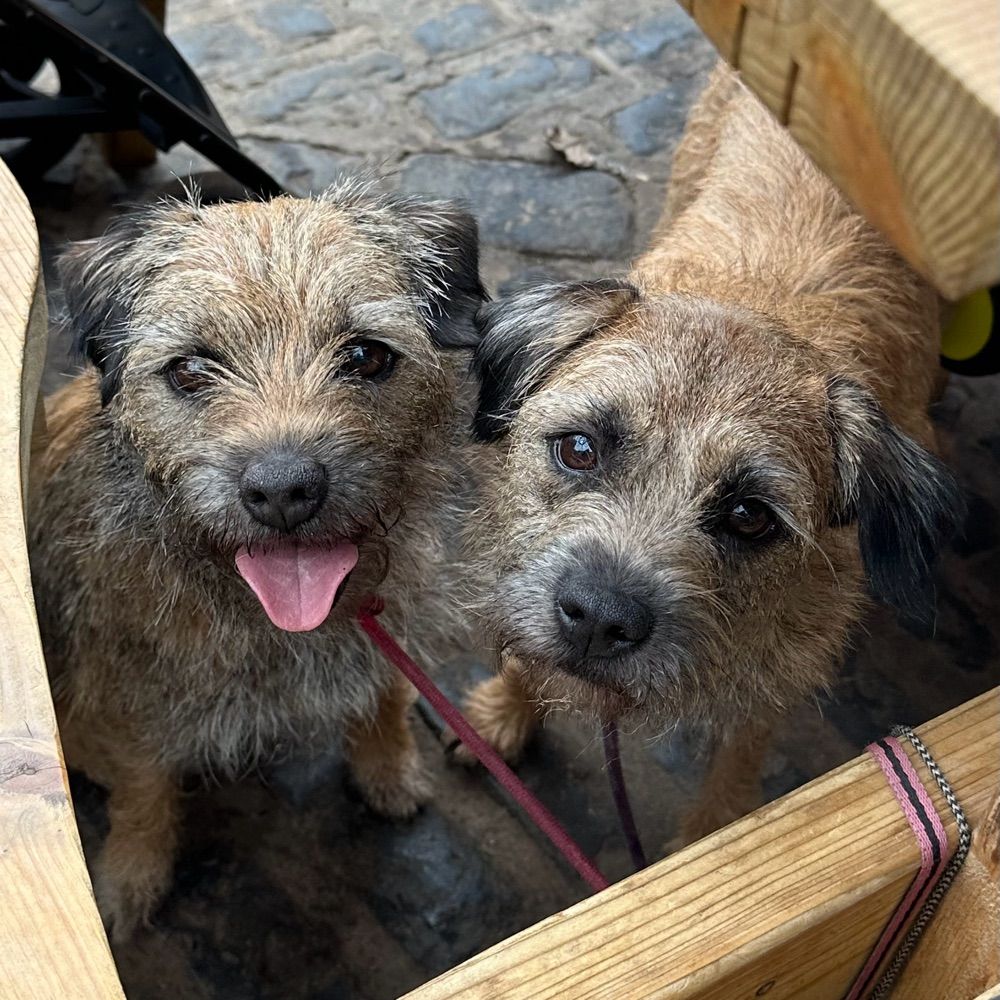 Otta, Gypsy and the Happy HasBeen