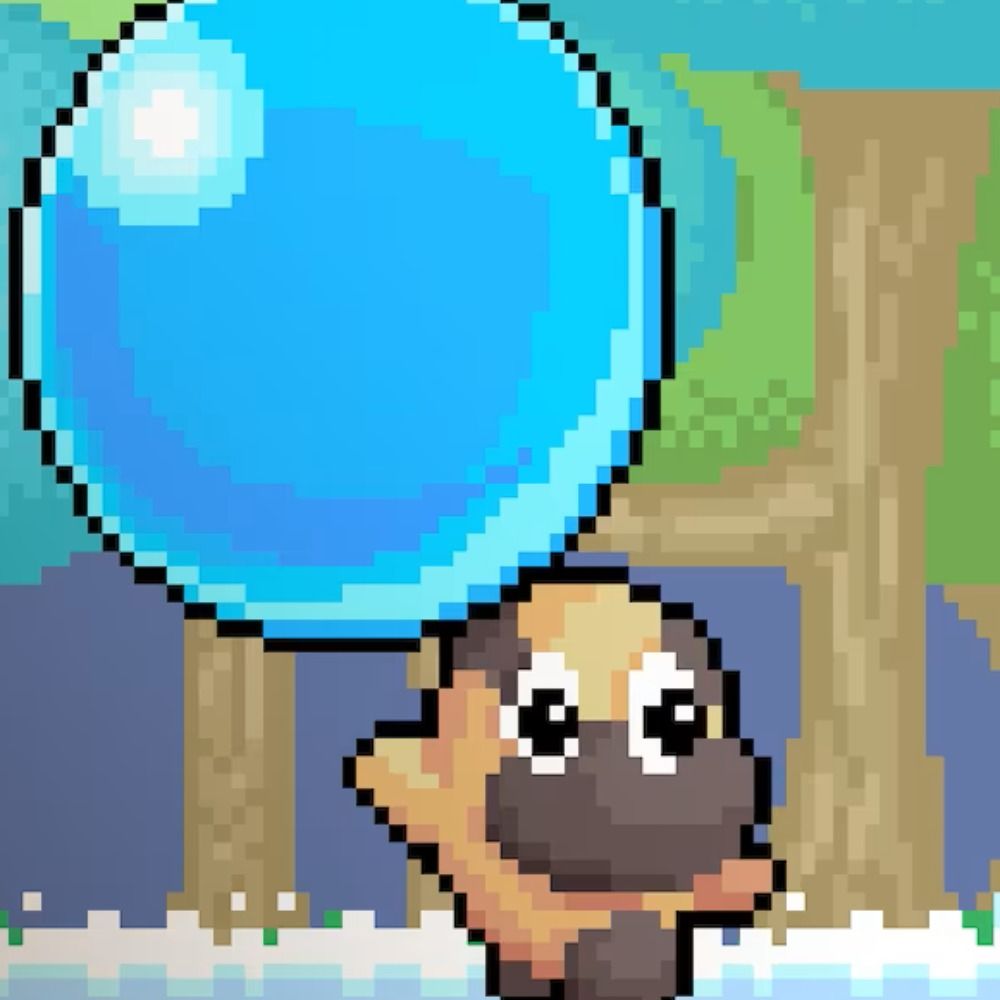 koo6809.bsky.social