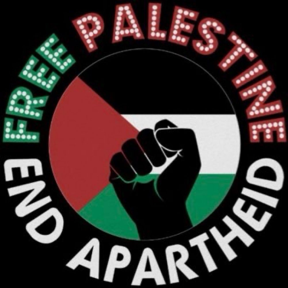NoahSteam 🇵🇸