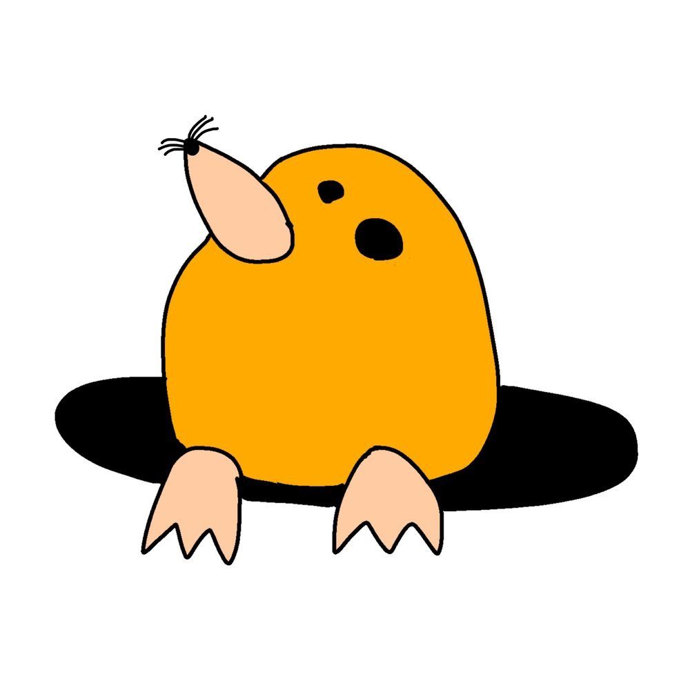 kazuki