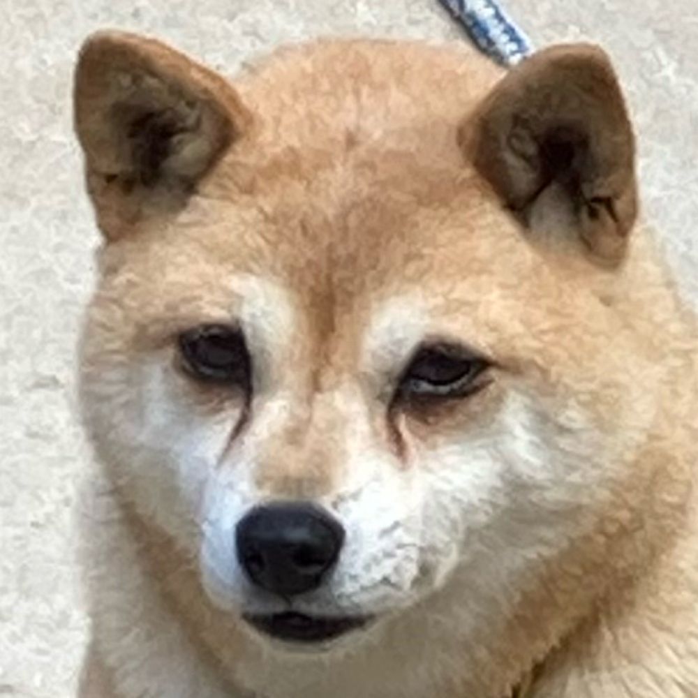 なんとなくさん