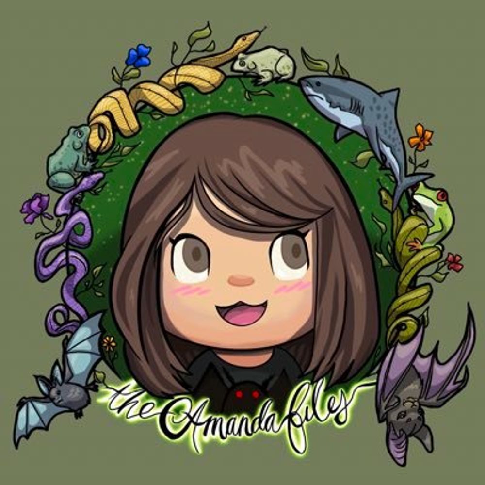 theamandafiles