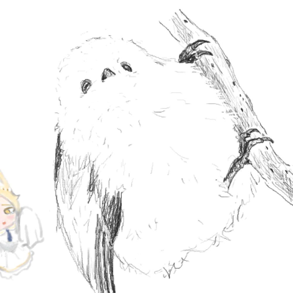 はんぺん