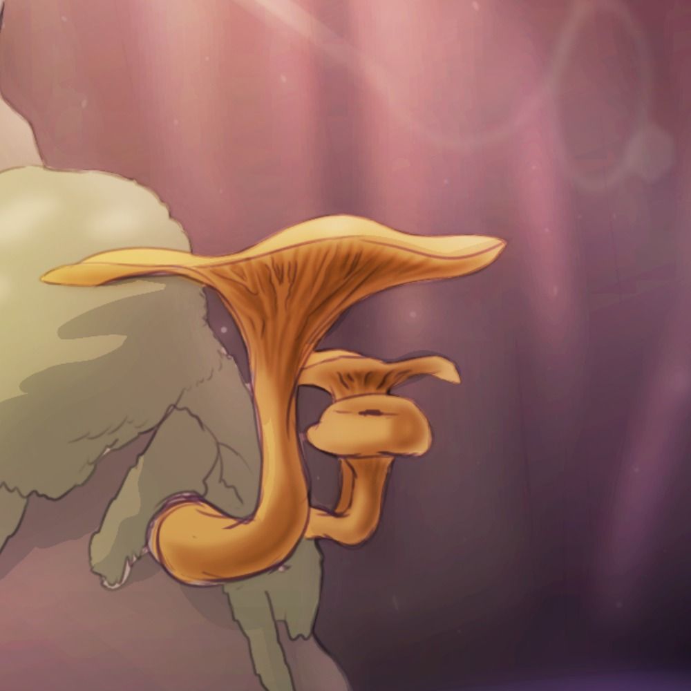 🔞Mycological Nightmare🔞