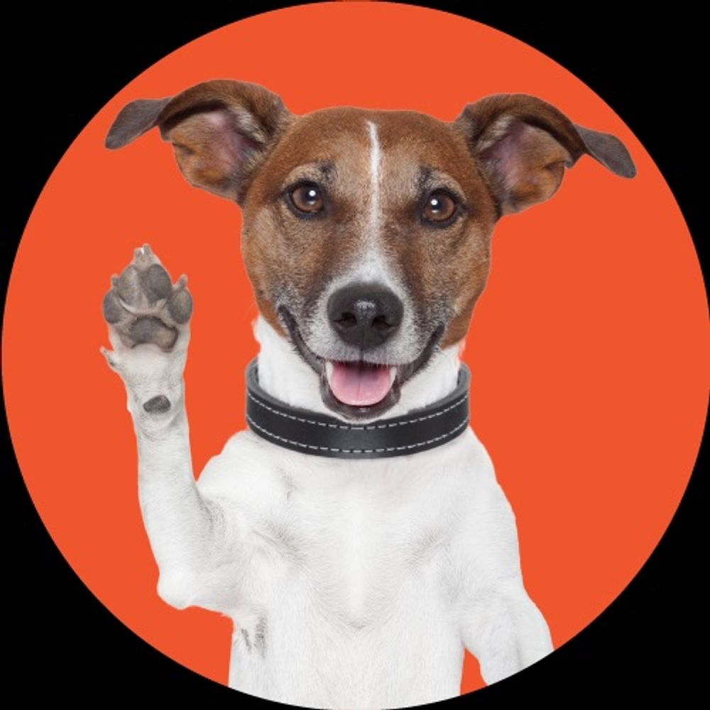 gofetchpress.bsky.social