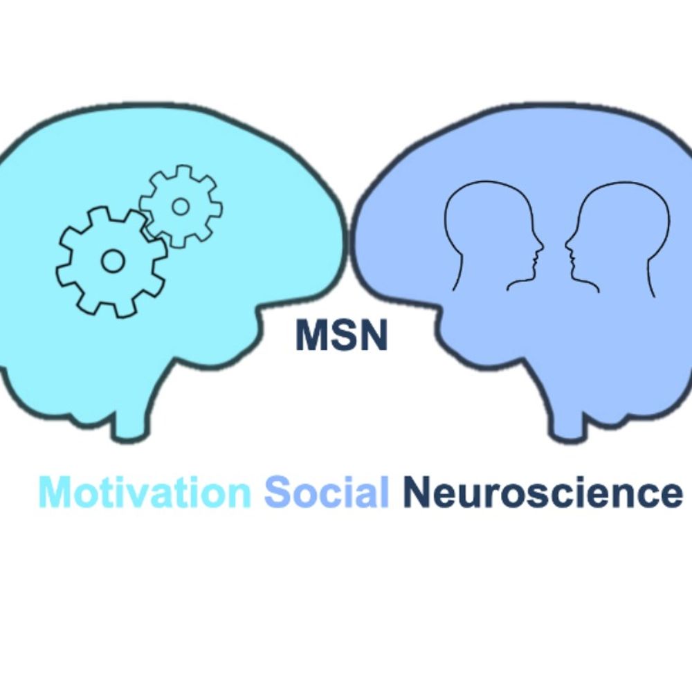 Motivation and Social Neuroscience (MSN) Lab