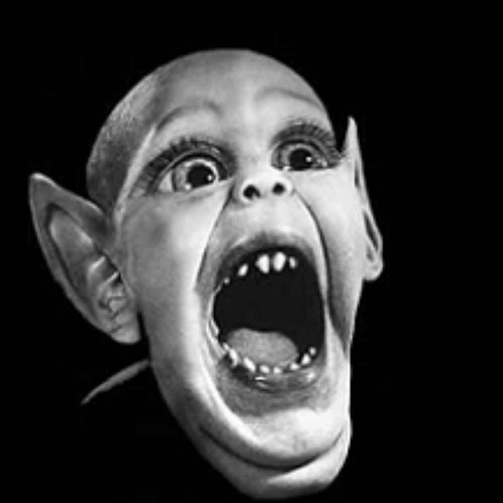 hellolunchmeat.bsky.social