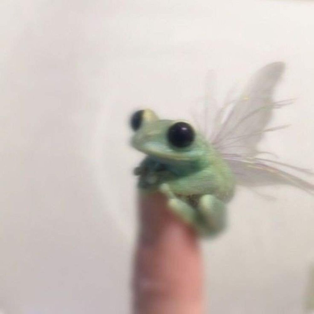 sam