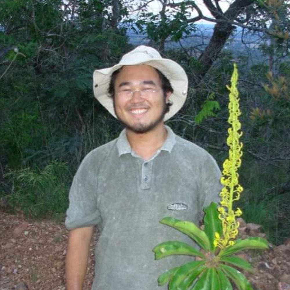 Gustavo Shimizu