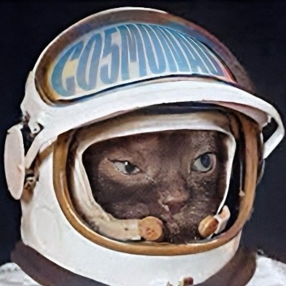 CO5MONAUT 