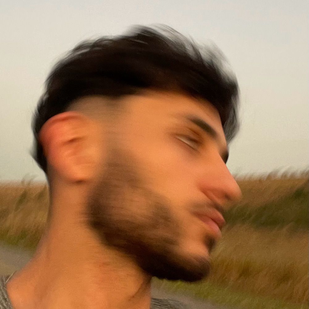 barata que voa