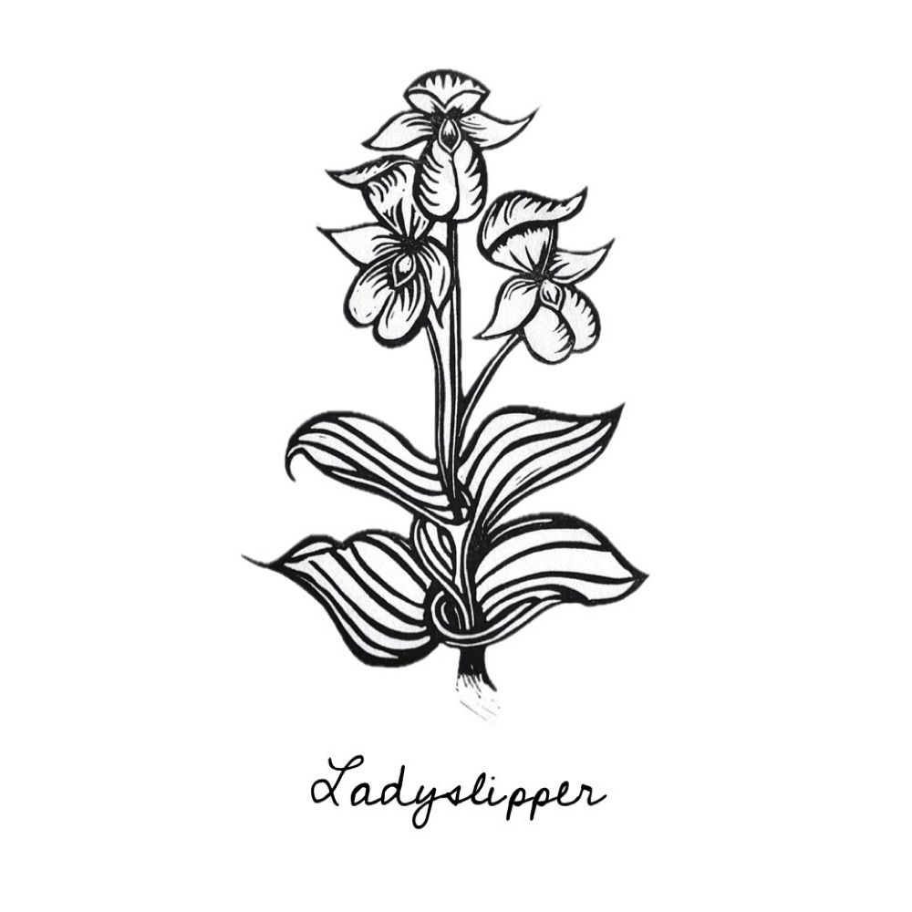 Ladyslipper