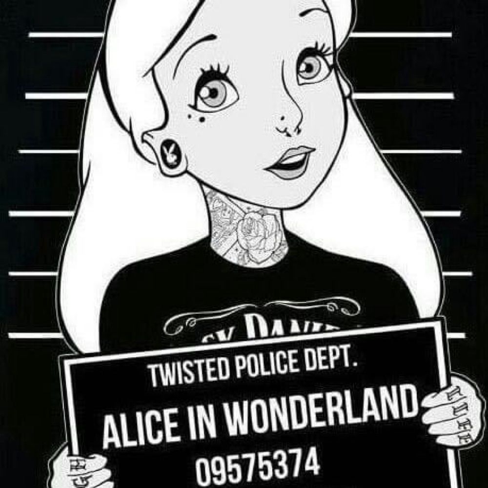 Holly Dove