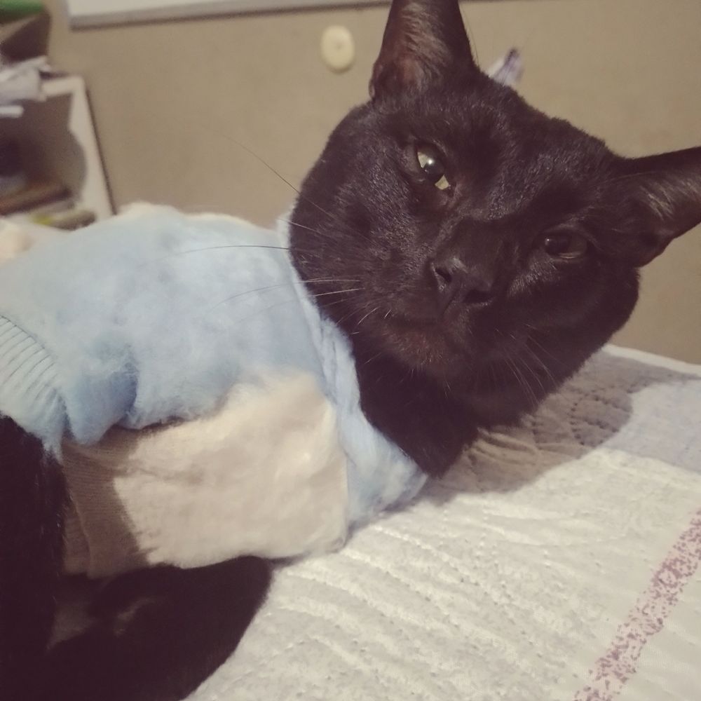 Tatá