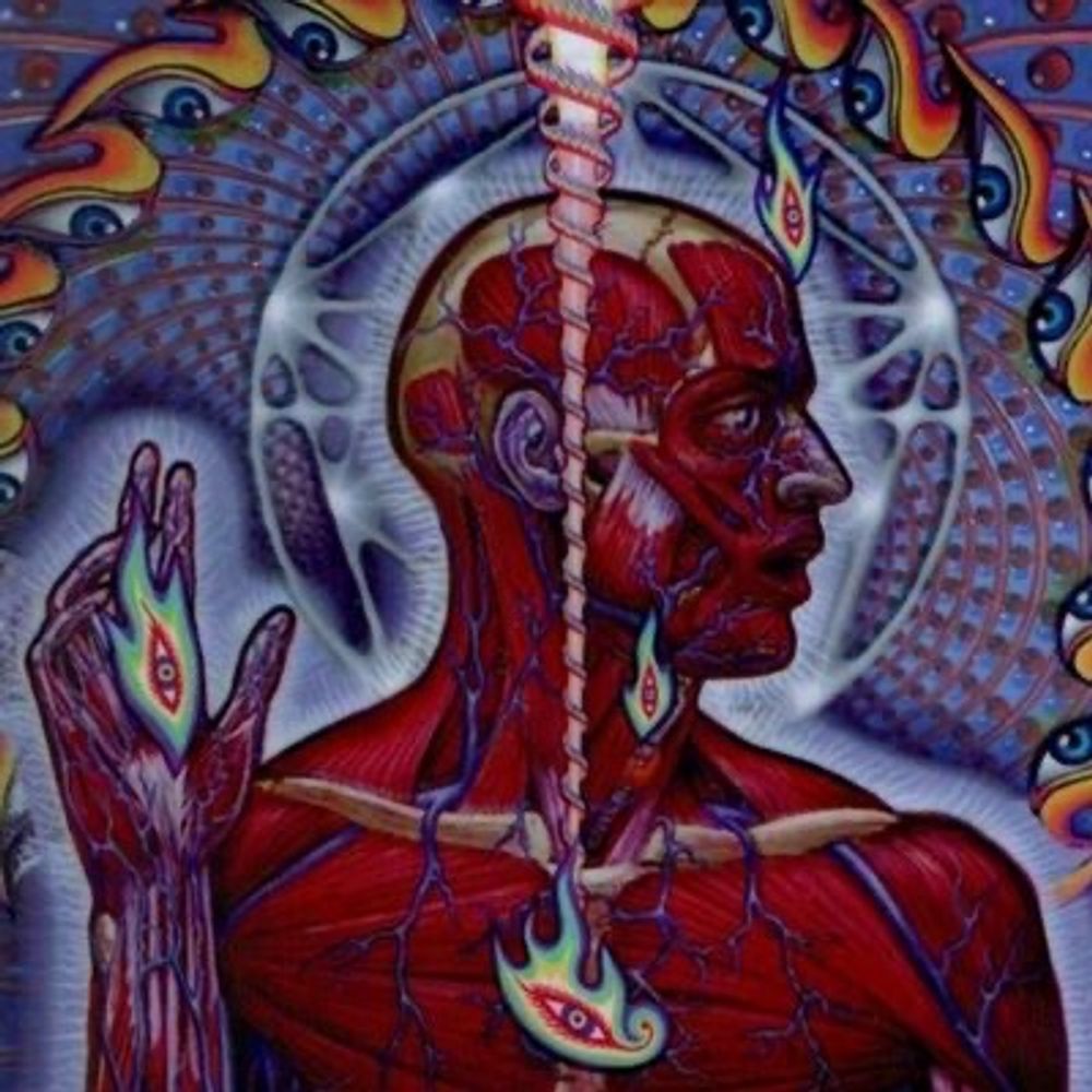 softbrain