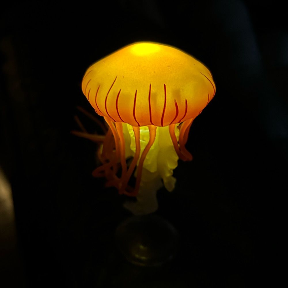 ごぼう。