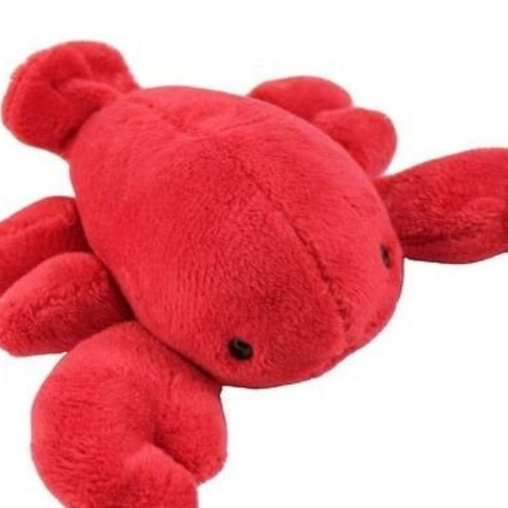Lobster 🦞 🥳