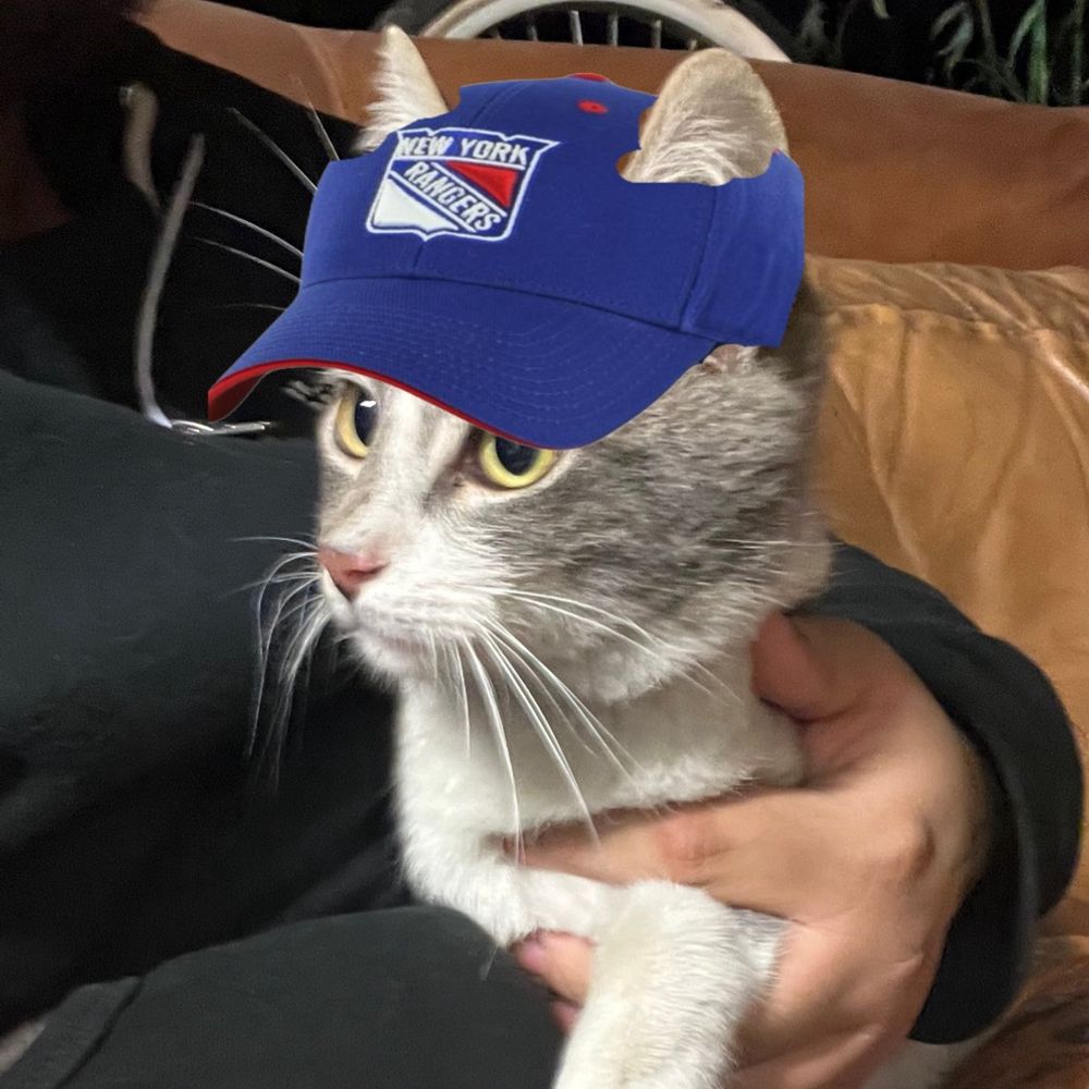 Seth 🐕 #NYR