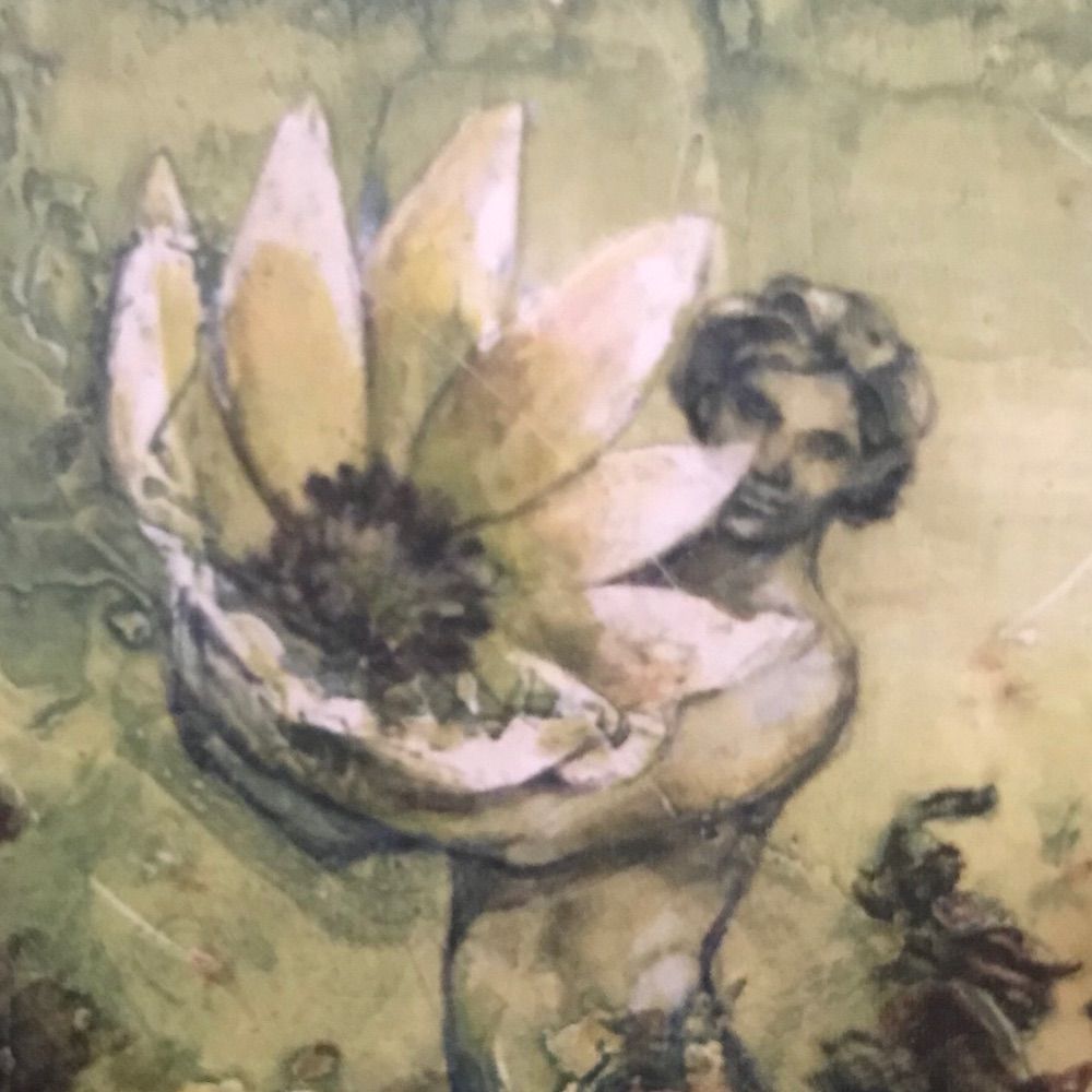 🍃 𝔤𝔬𝔟𝔩𝔦𝔫𝔠𝔬𝔯𝔢 🍃