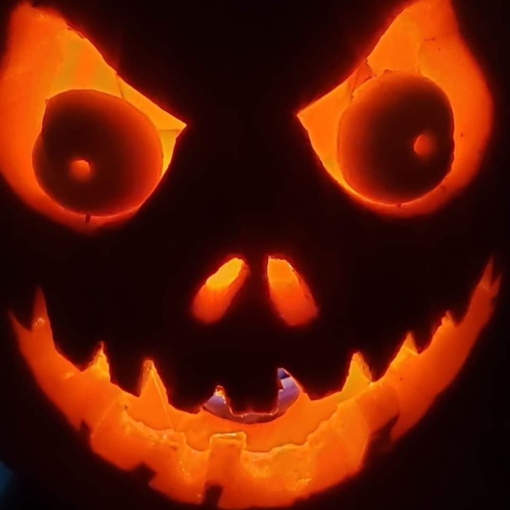 dissidents-dilemma.bsky.social