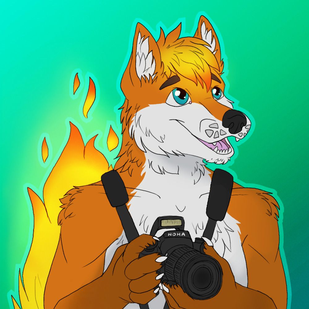 Noha Kitsune