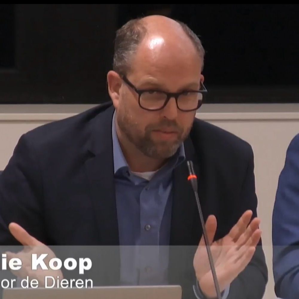 Ronnie Koop
