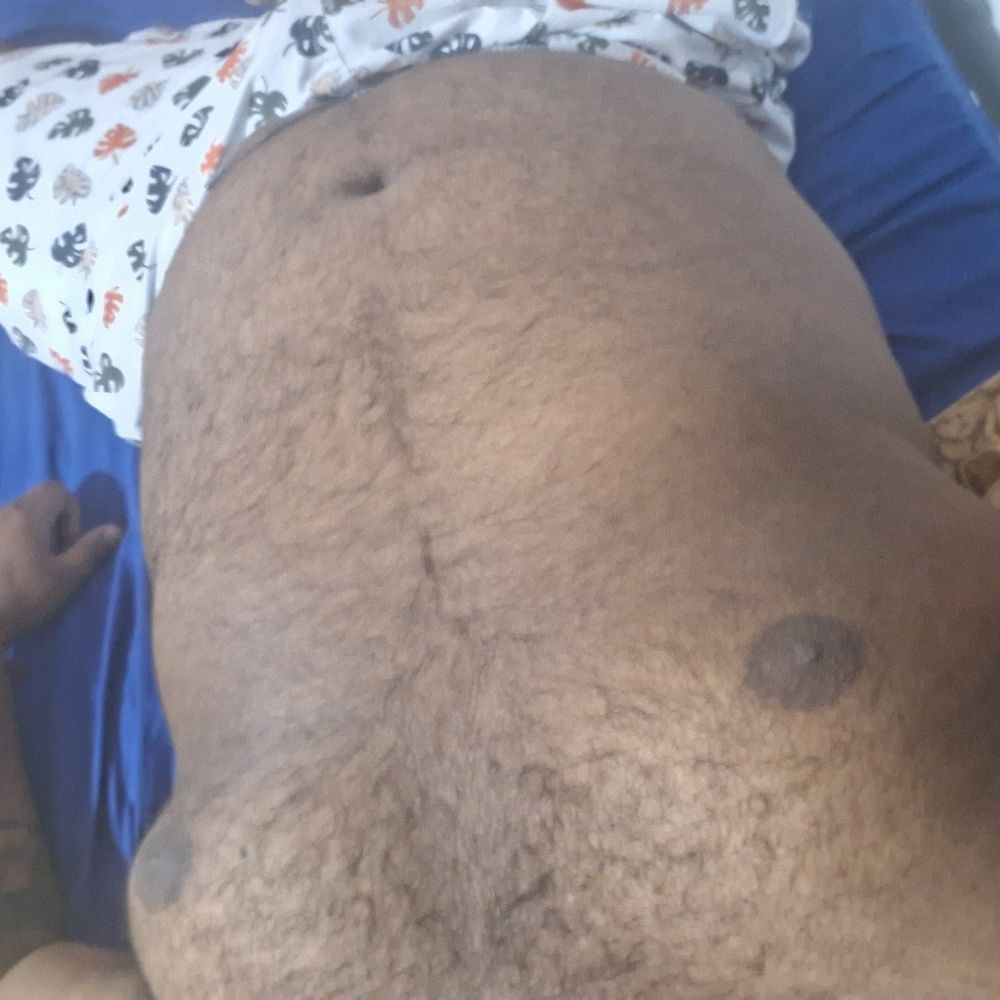 Urso de Óculos 