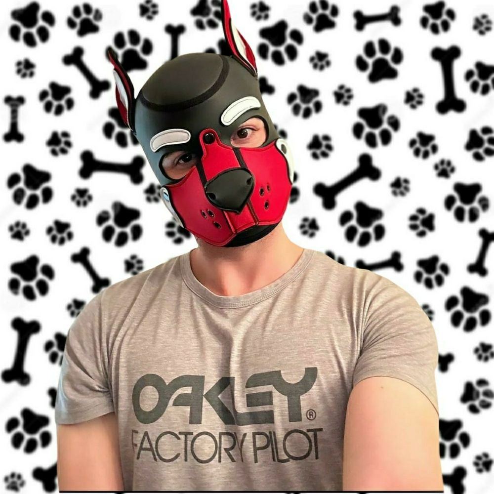 Pup Adam
