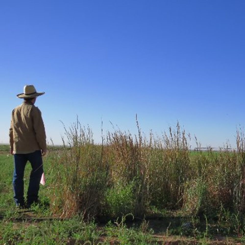 The Roaming Ecologist