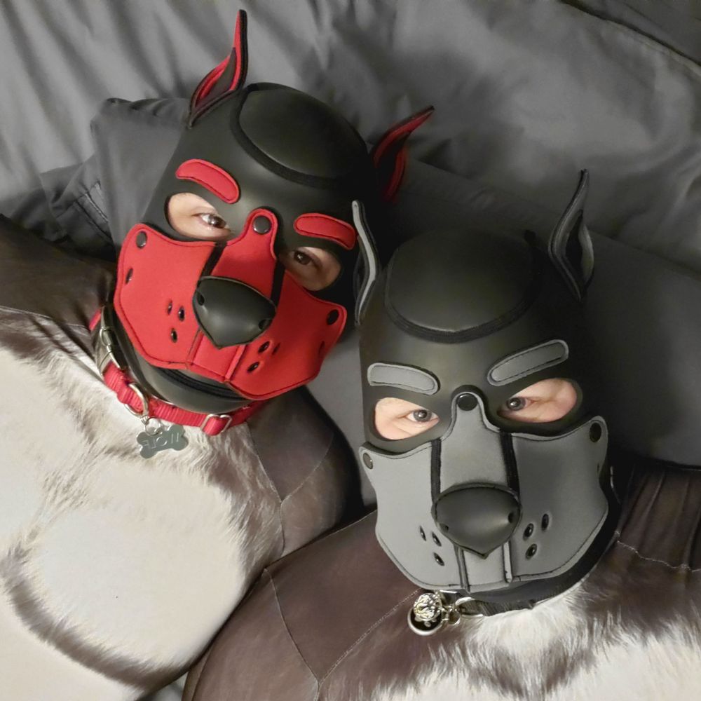 Knotty Dogs