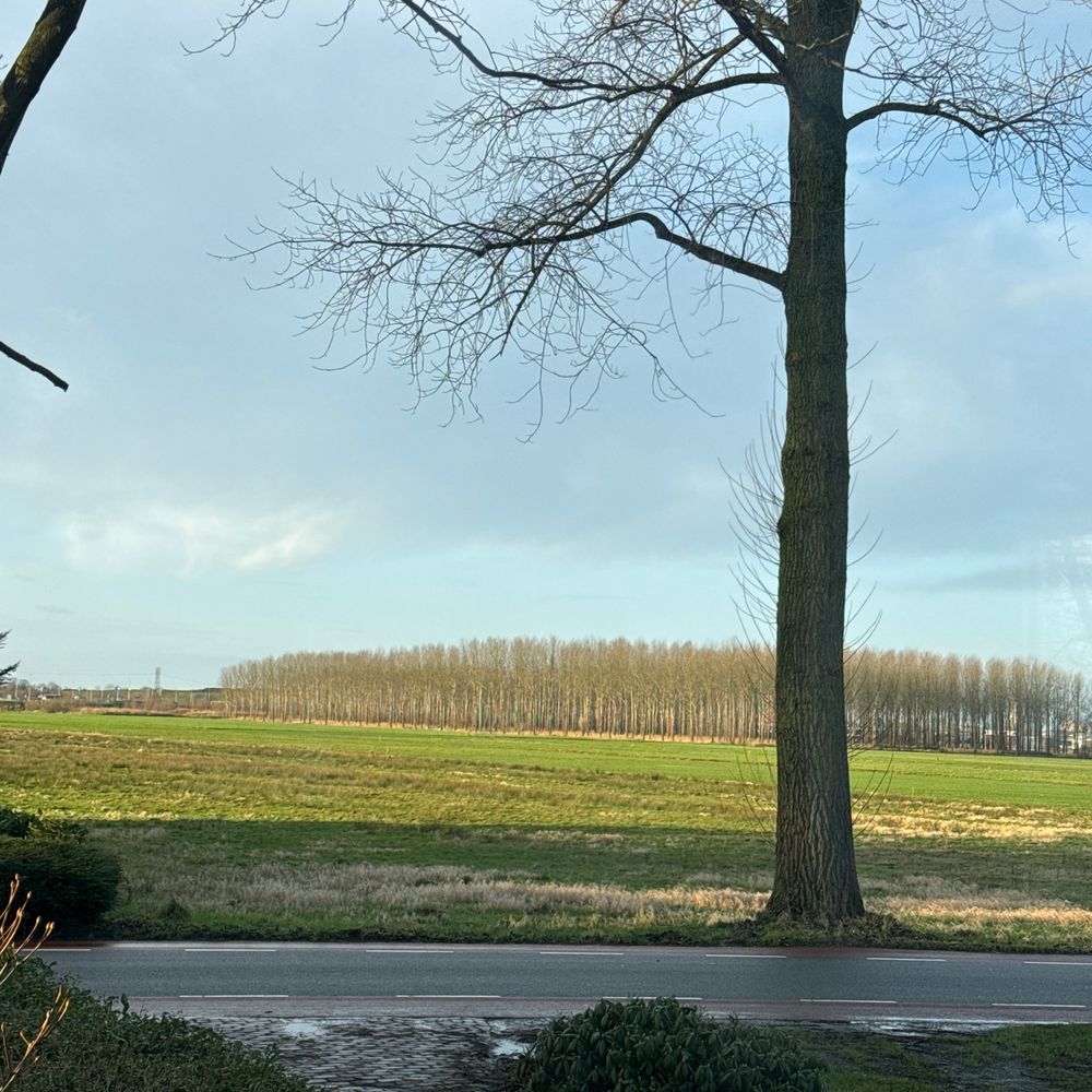 Pieter