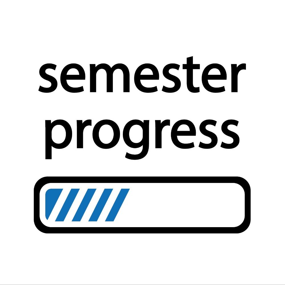 sem_progress_hhu
