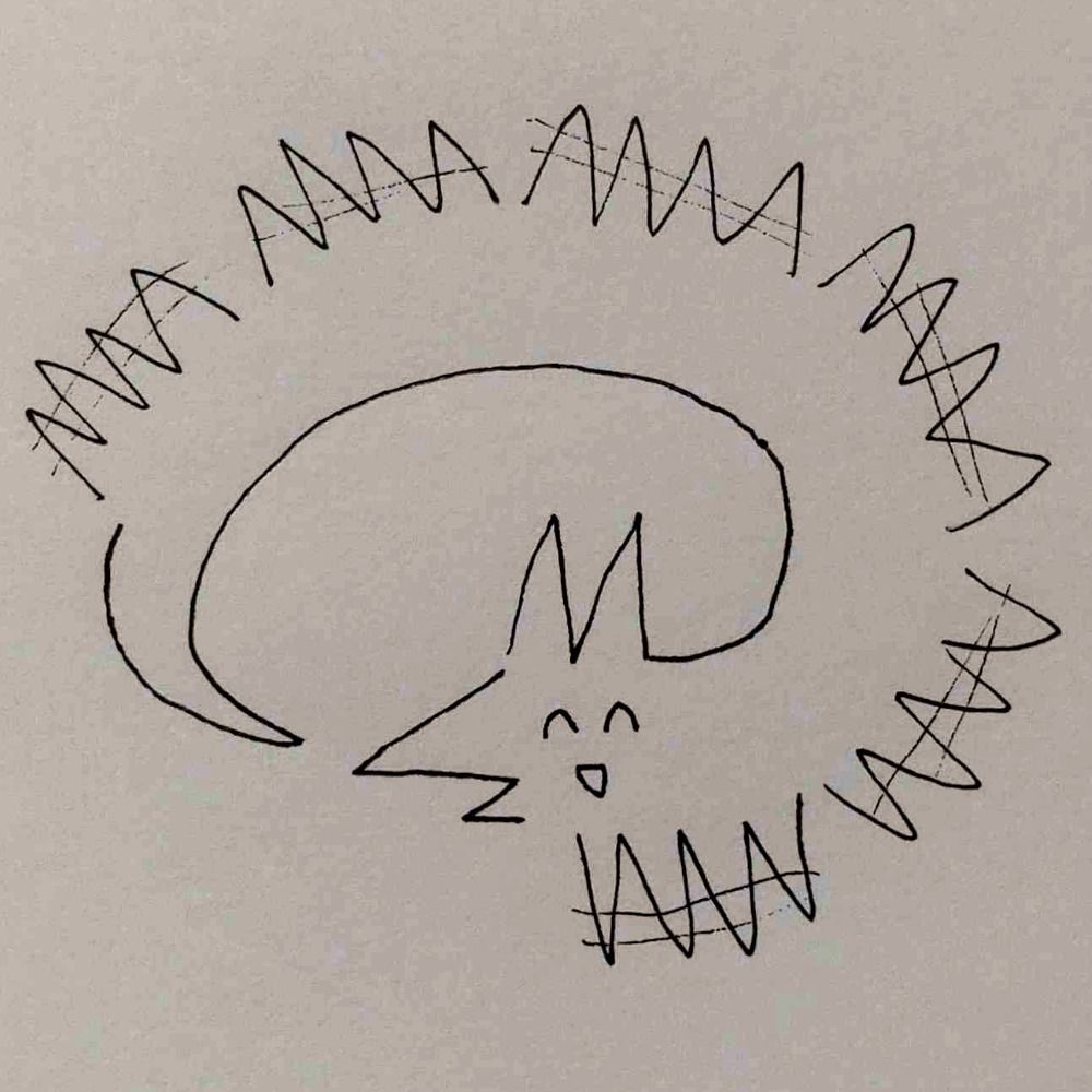 足の多い犬ちゃん