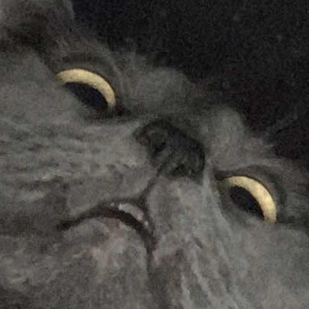 void