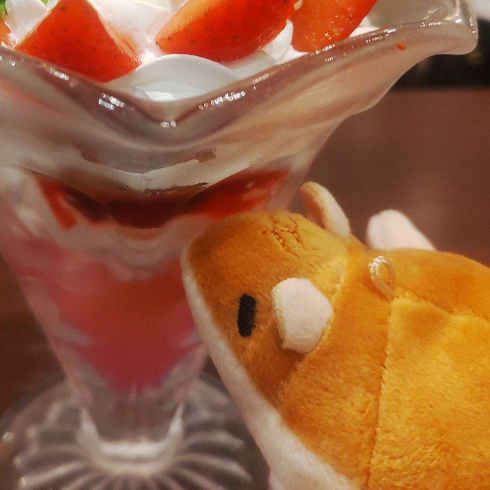 ののこ