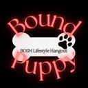@theboundpuppy.secondlife.bio's avatar