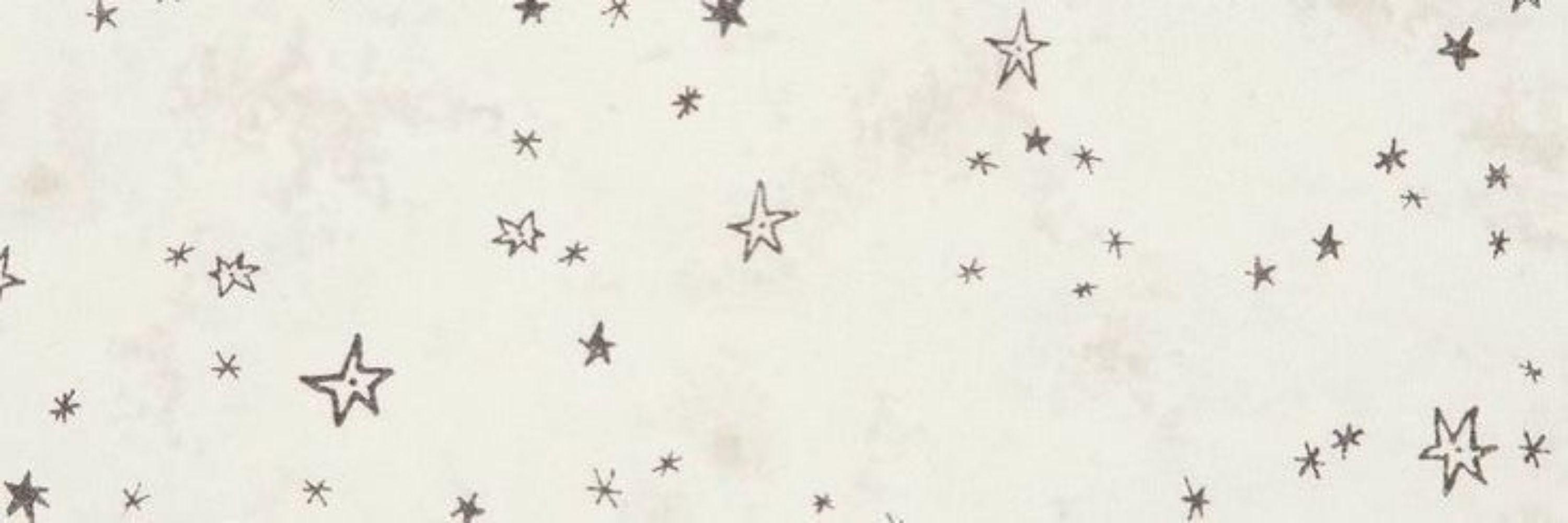 ⊹ ࣪ ˖ Star 🧺
