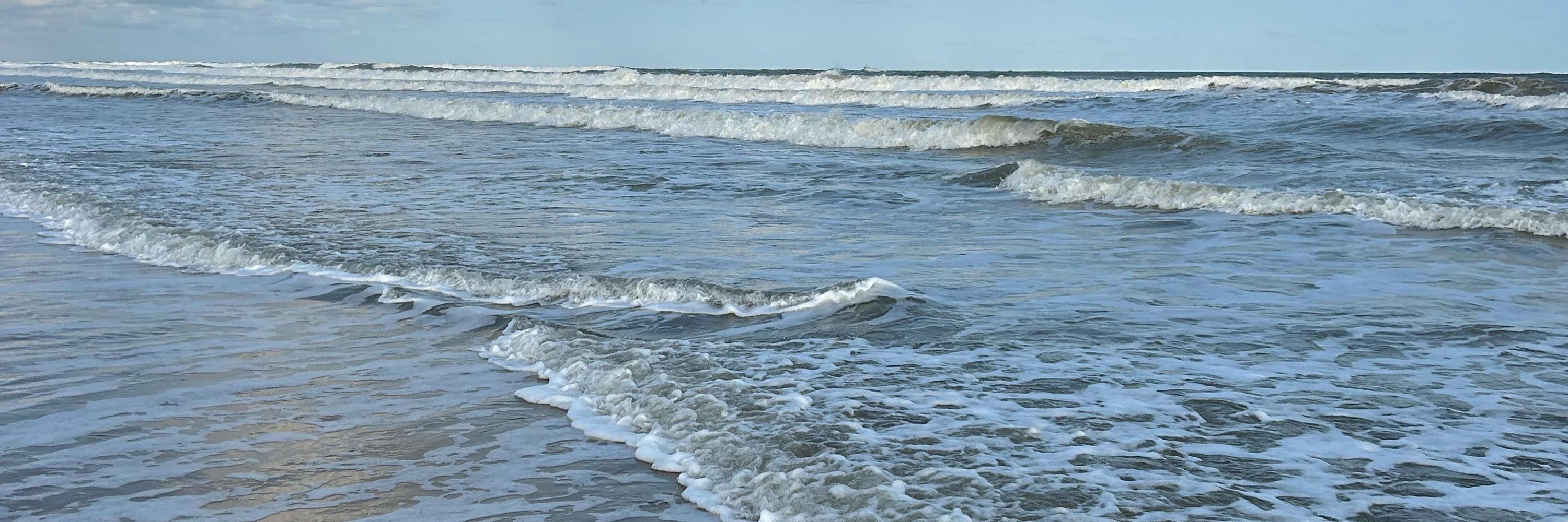 samuca