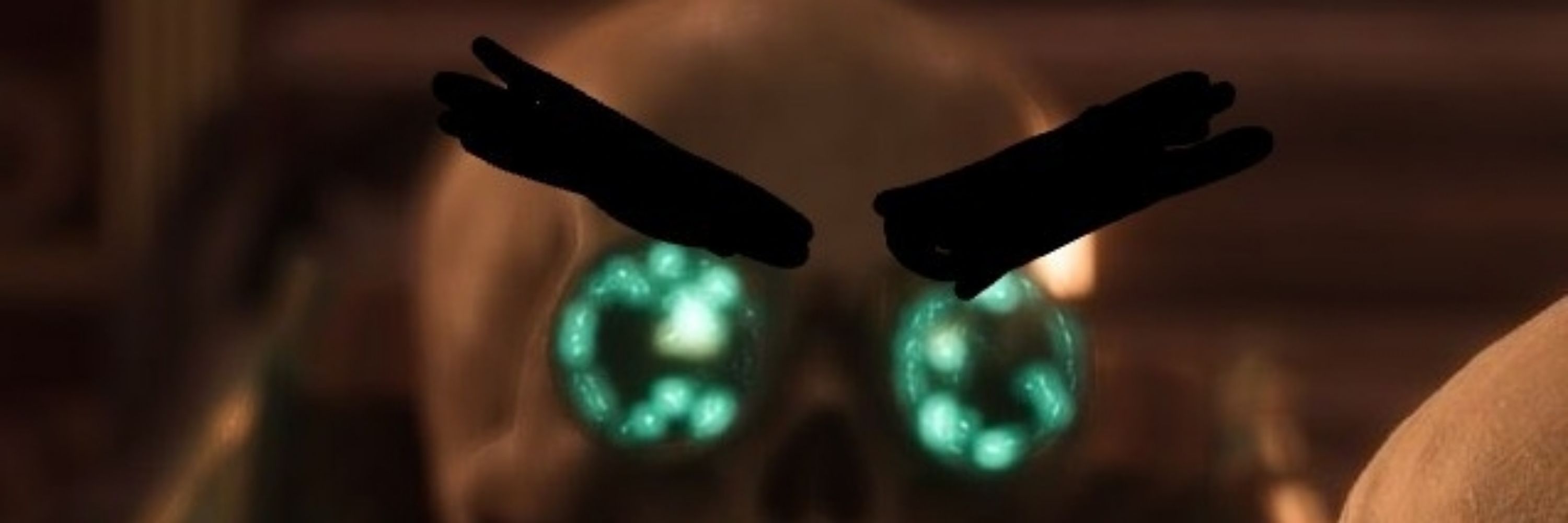 ani