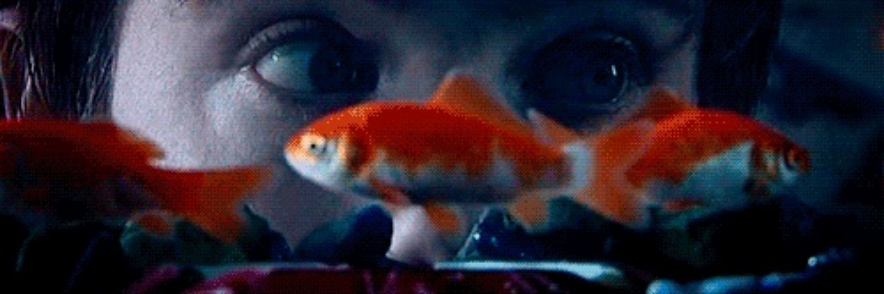 Sofie°•o。.🐠