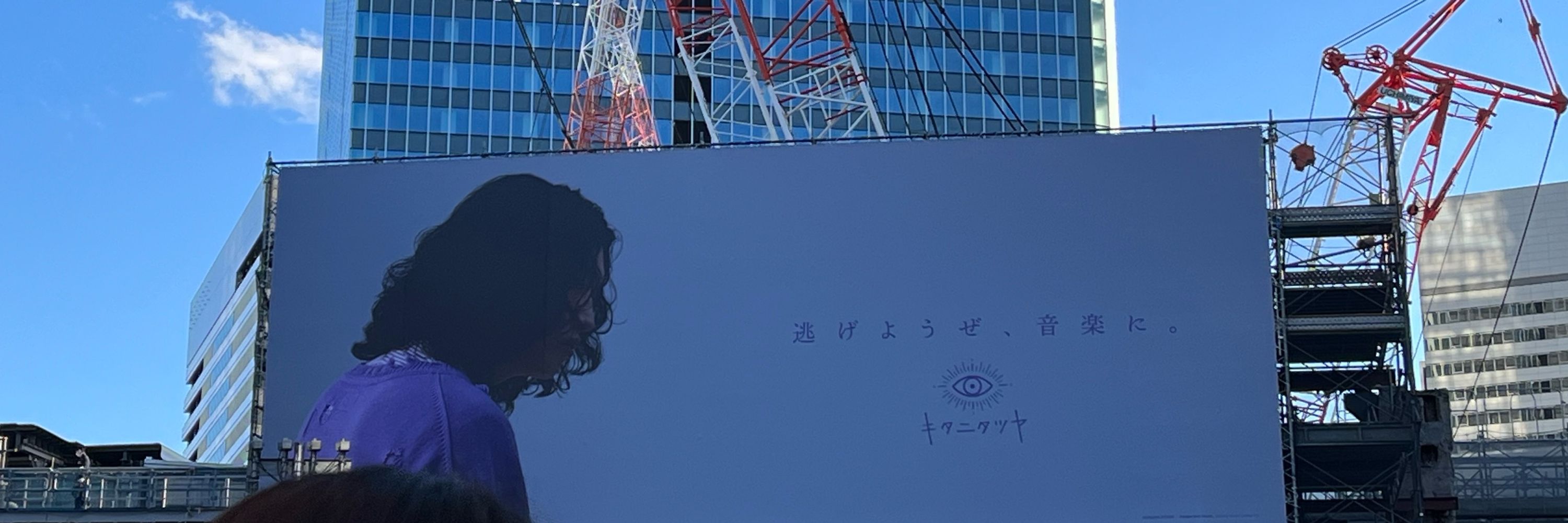 頭が弱くて可愛い人