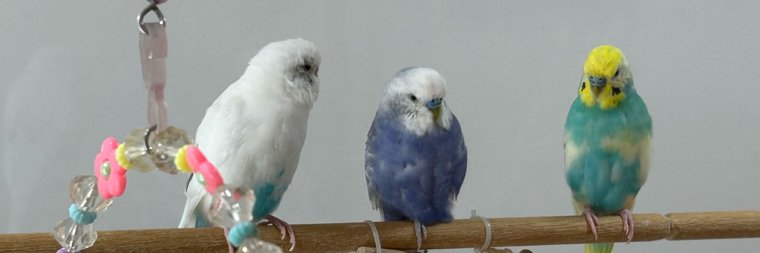 ユウキ