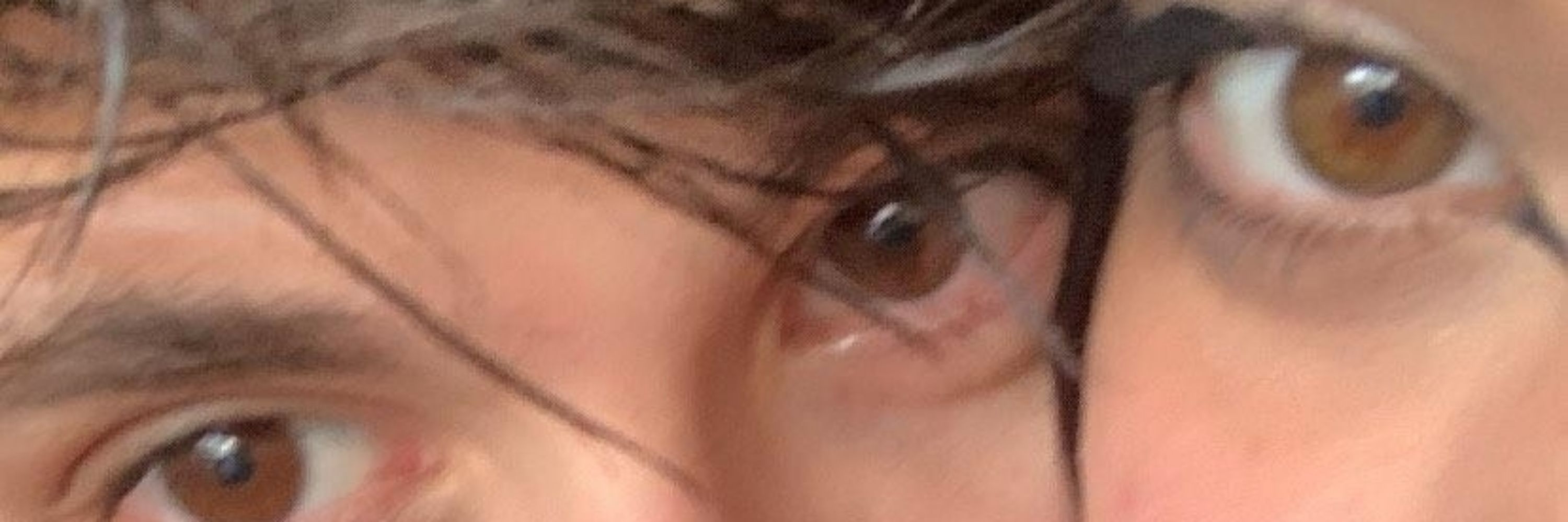 ana do twitter