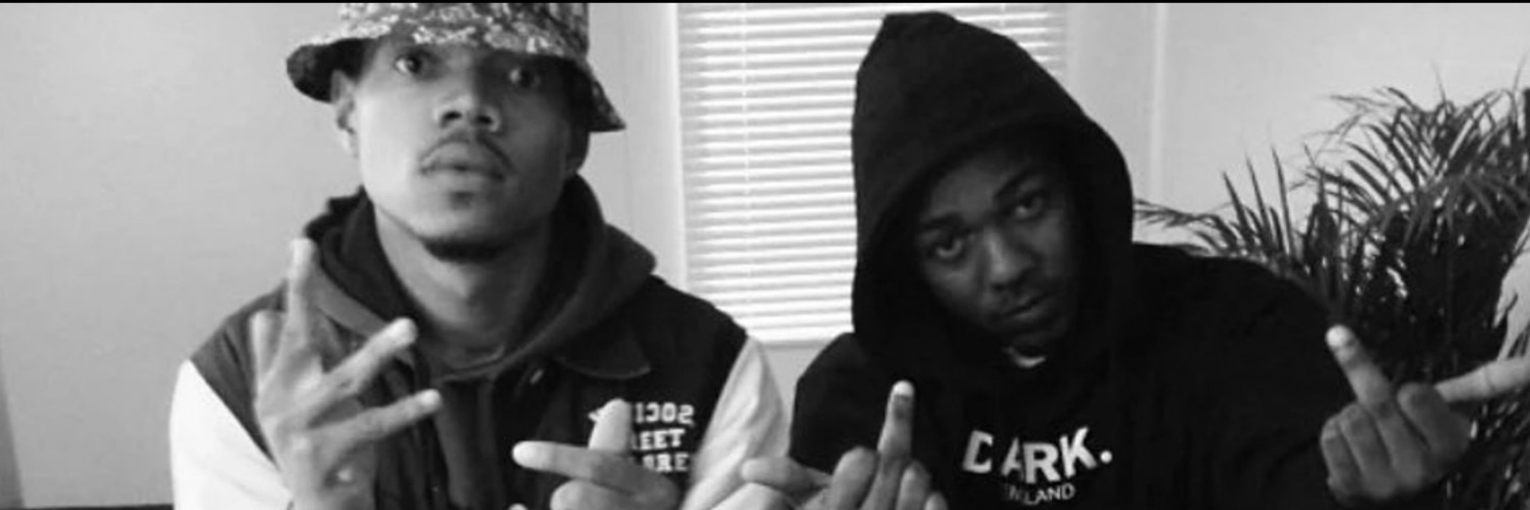 Cash