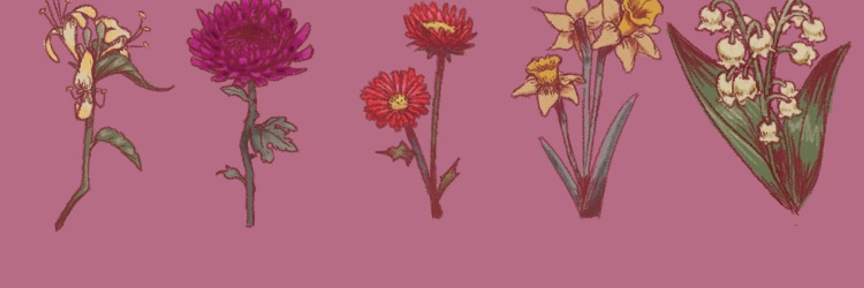Bee/August