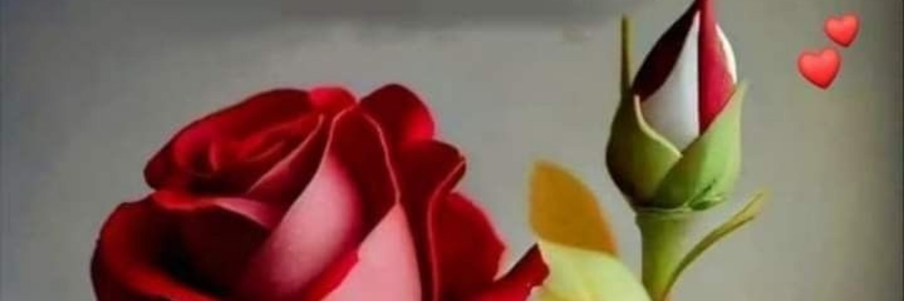 Zafar Ch